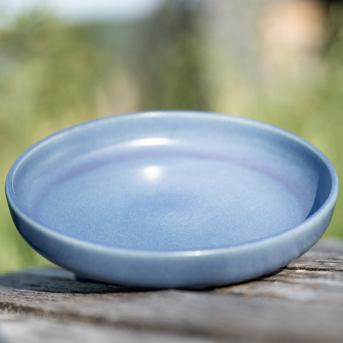 Traunstein Pastateller Blue Iris